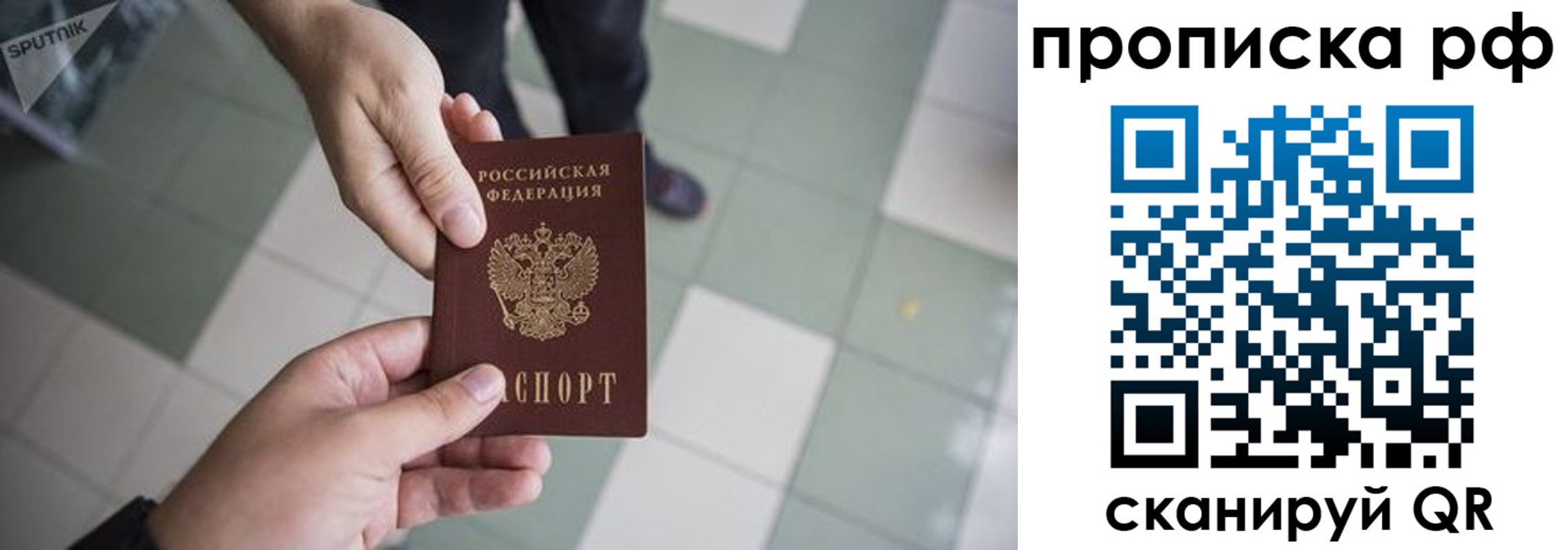 прописка гарантия в Суворове
